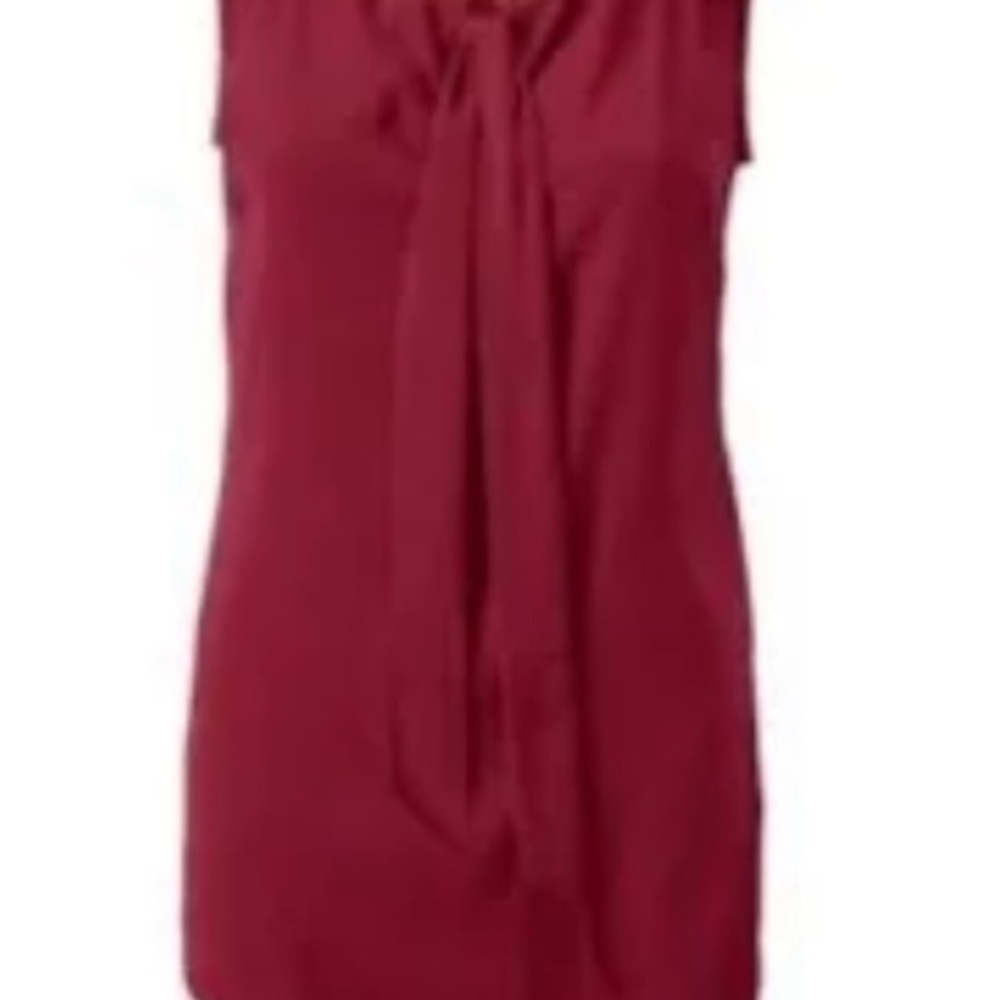 Cabi Olive & Garnet blouses. NWOT size large - Picture 2 of 12